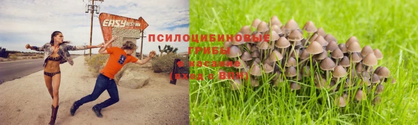 мдпв Покров