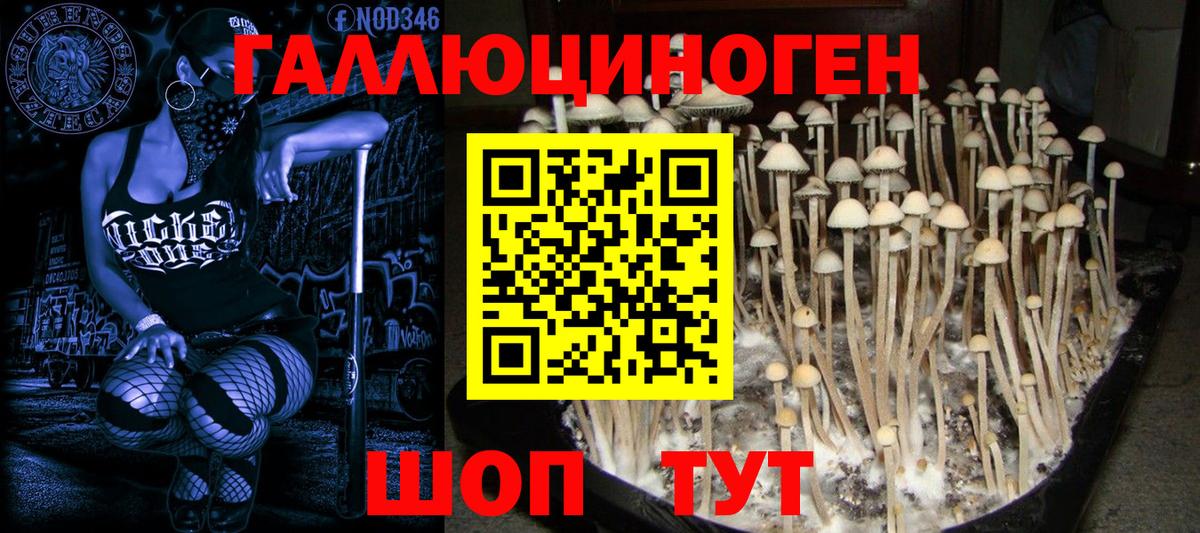Владикавказ  Галлюциногенные грибы мухоморы  Вход с VPN 